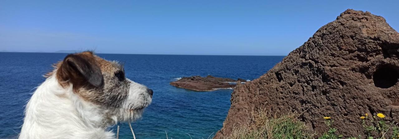 Appartamento Gioiellino Sardo Castelsardo Esterno foto
